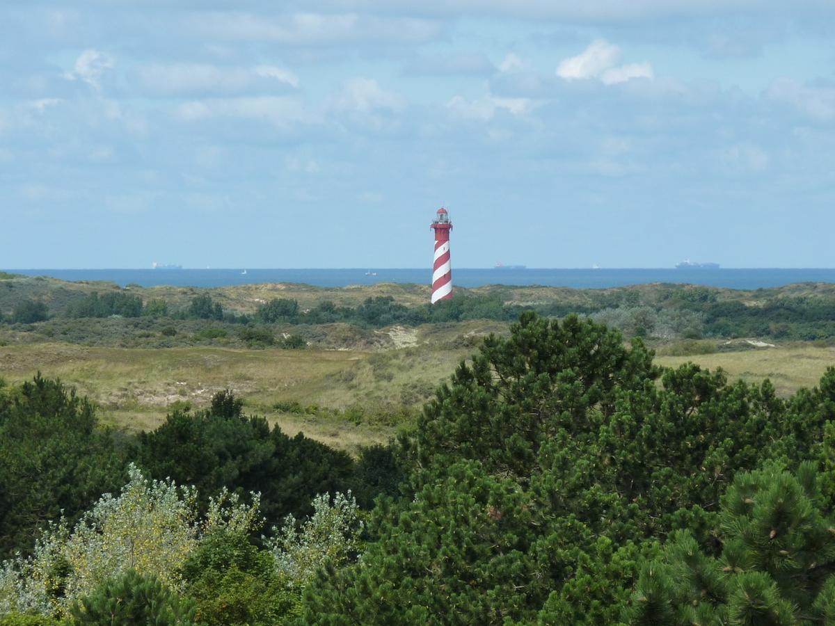 Camping Ginsterveld Бур Хамстед Екстериор снимка